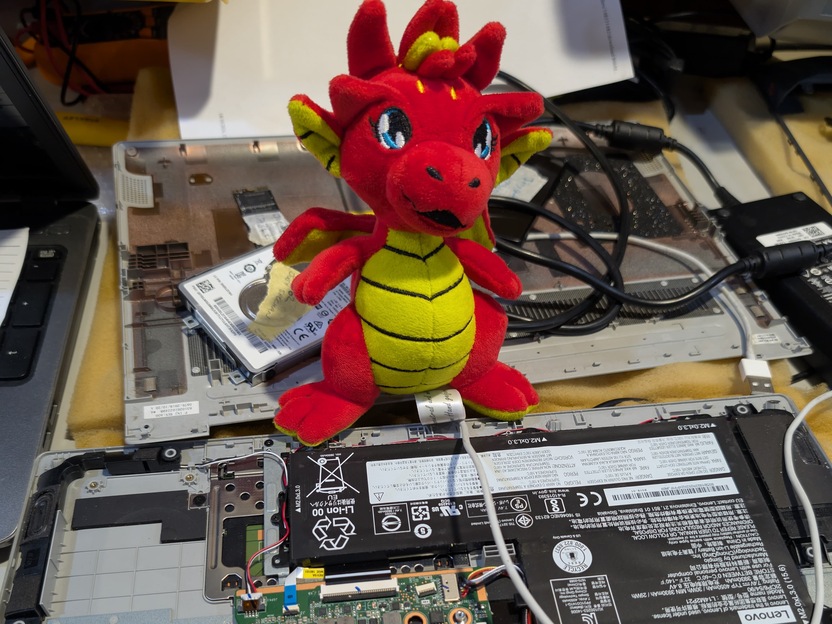 Maskottchen Drache Sofine vor einem offenen Laptop